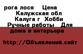 рога лося. › Цена ­ 1 000 - Калужская обл., Калуга г. Хобби. Ручные работы » Для дома и интерьера   